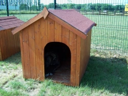 Niche à chien - NC0914.01 – 1,17 m² – Idéale pour les gros chiens