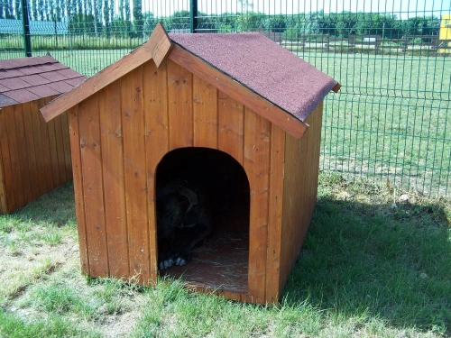 Niche à chien - NC0914.01 – 1,17 m² – Idéale pour les gros chiens